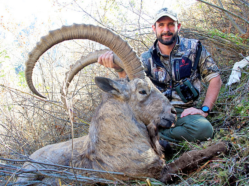 ibex_kazakhstan_03