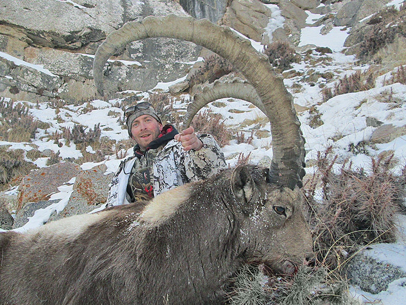 ibex_kyrgyzstan_05